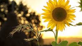 upload_00000103.jpg